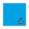 Blue Jay Seamless Paper