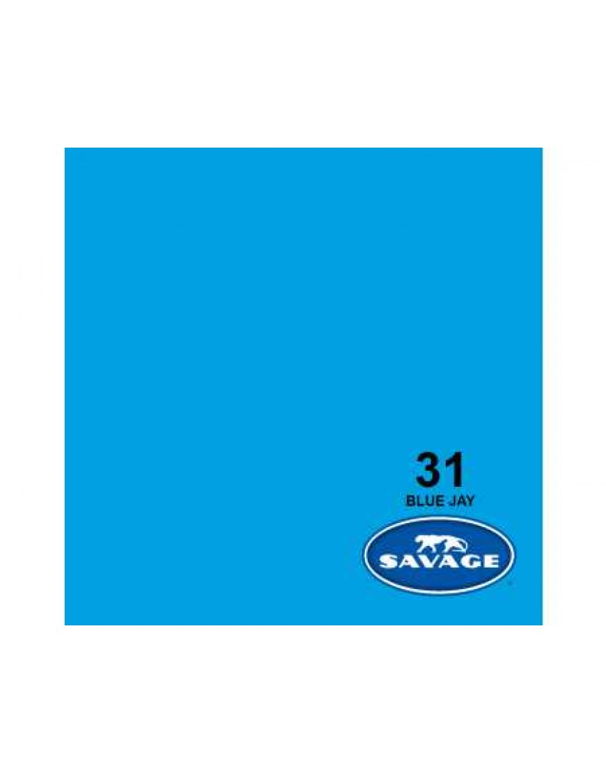 Blue Jay Seamless Paper